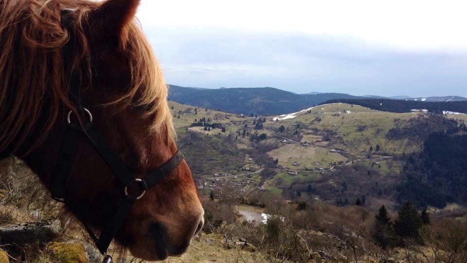 Equi'val Le Tholy
